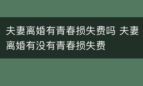 夫妻离婚有青春损失费吗 夫妻离婚有没有青春损失费