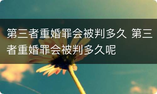 第三者重婚罪会被判多久 第三者重婚罪会被判多久呢