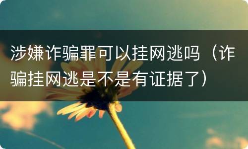 涉嫌诈骗罪可以挂网逃吗（诈骗挂网逃是不是有证据了）