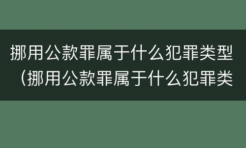 挪用公款罪属于什么犯罪类型（挪用公款罪属于什么犯罪类型案件）