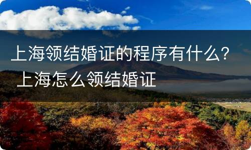 上海领结婚证的程序有什么？ 上海怎么领结婚证