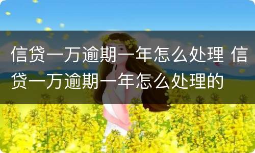 信贷一万逾期一年怎么处理 信贷一万逾期一年怎么处理的