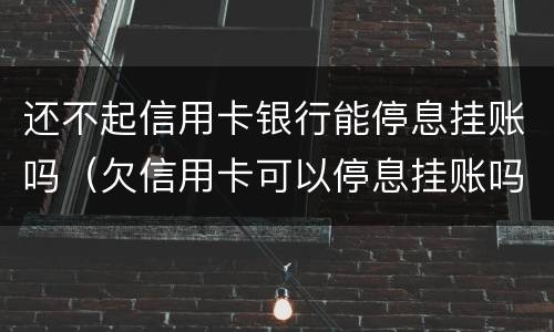 还不起信用卡银行能停息挂账吗（欠信用卡可以停息挂账吗）