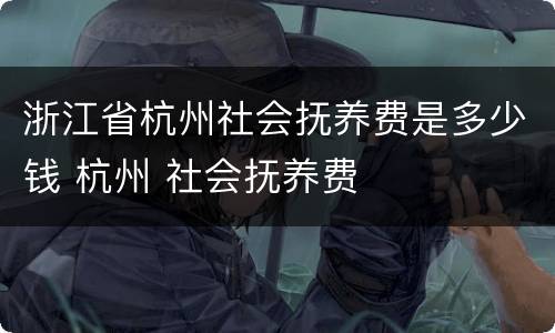 浙江省杭州社会抚养费是多少钱 杭州 社会抚养费