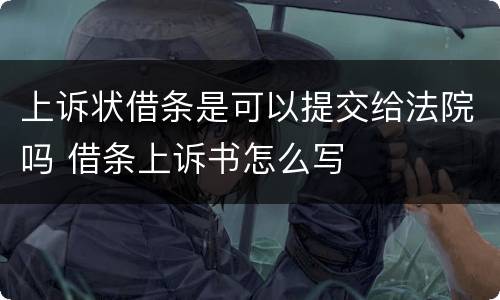 上诉状借条是可以提交给法院吗 借条上诉书怎么写
