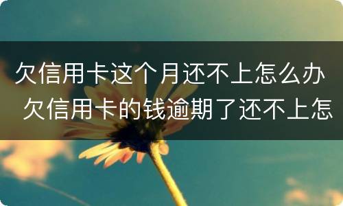 欠信用卡这个月还不上怎么办 欠信用卡的钱逾期了还不上怎么办