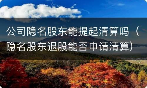 公司隐名股东能提起清算吗（隐名股东退股能否申请清算）