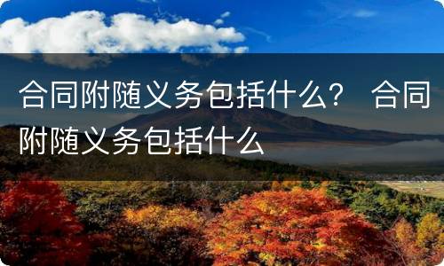 合同附随义务包括什么？ 合同附随义务包括什么