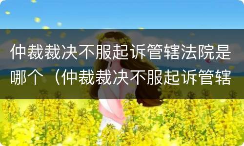 仲裁裁决不服起诉管辖法院是哪个（仲裁裁决不服起诉管辖法院是哪个法院）