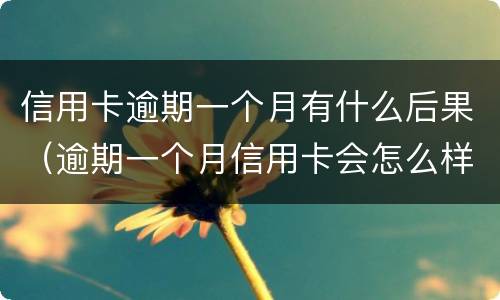 信用卡逾期一个月有什么后果（逾期一个月信用卡会怎么样）