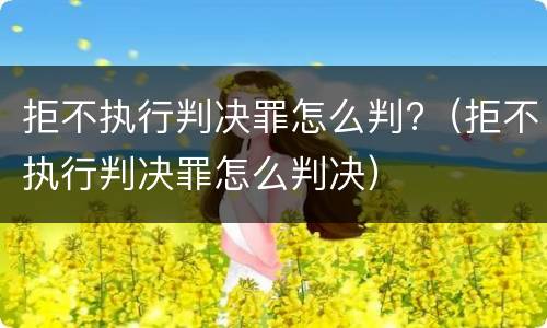 拒不执行判决罪怎么判?（拒不执行判决罪怎么判决）