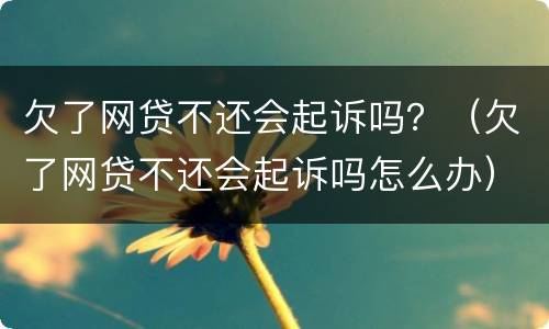 欠了网贷不还会起诉吗？（欠了网贷不还会起诉吗怎么办）