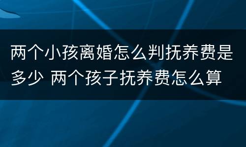 两个小孩离婚怎么判抚养费是多少 两个孩子抚养费怎么算 离婚后
