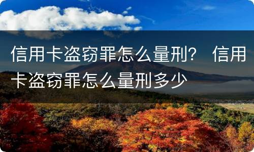 信用卡盗窃罪怎么量刑？ 信用卡盗窃罪怎么量刑多少