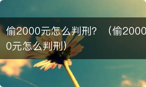 偷2000元怎么判刑？（偷20000元怎么判刑）