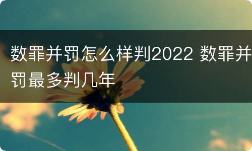 数罪并罚怎么样判2022 数罪并罚最多判几年