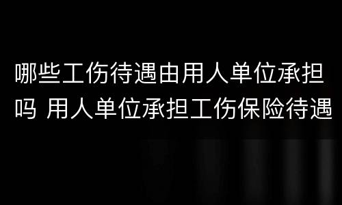 哪些工伤待遇由用人单位承担吗 用人单位承担工伤保险待遇