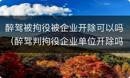 醉驾被拘役被企业开除可以吗（醉驾判拘役企业单位开除吗）