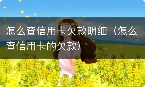怎么查信用卡欠款明细（怎么查信用卡的欠款）