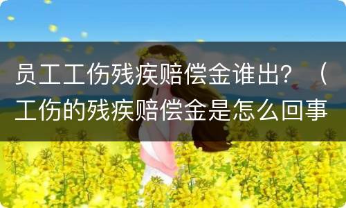 员工工伤残疾赔偿金谁出？（工伤的残疾赔偿金是怎么回事）