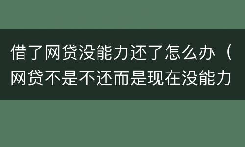 借了网贷没能力还了怎么办（网贷不是不还而是现在没能力还怎么办）