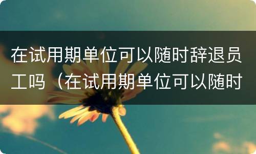 在试用期单位可以随时辞退员工吗（在试用期单位可以随时辞退员工吗）