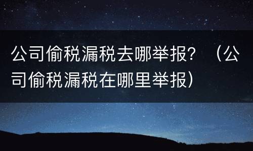 公司偷税漏税去哪举报？（公司偷税漏税在哪里举报）