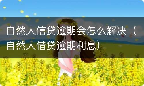 自然人信贷逾期会怎么解决（自然人借贷逾期利息）