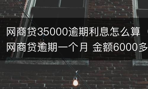 网商贷35000逾期利息怎么算（网商贷逾期一个月 金额6000多）