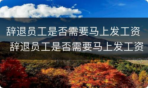 辞退员工是否需要马上发工资 辞退员工是否需要马上发工资证明