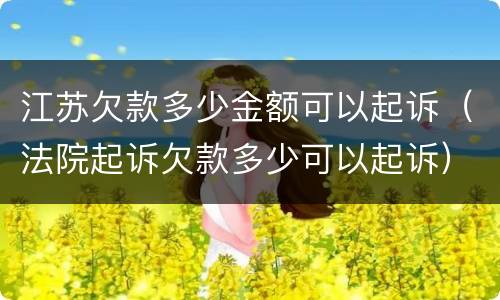 江苏欠款多少金额可以起诉（法院起诉欠款多少可以起诉）