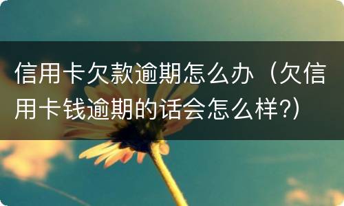 信用卡欠款逾期怎么办（欠信用卡钱逾期的话会怎么样?）