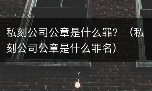 私刻公司公章是什么罪？（私刻公司公章是什么罪名）