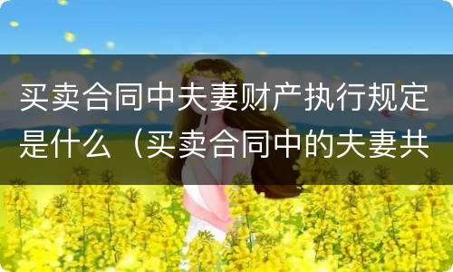 买卖合同中夫妻财产执行规定是什么（买卖合同中的夫妻共同债务）