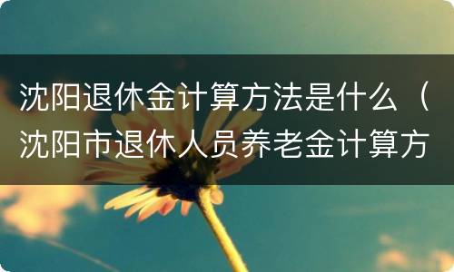 沈阳退休金计算方法是什么（沈阳市退休人员养老金计算方法）