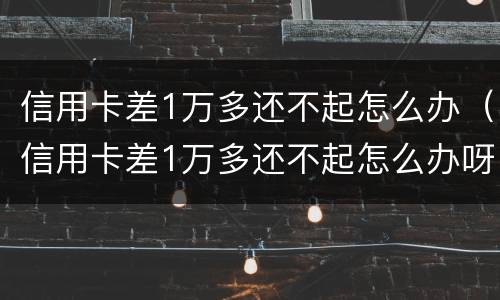 信用卡差1万多还不起怎么办（信用卡差1万多还不起怎么办呀）