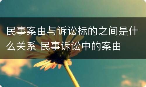 民事案由与诉讼标的之间是什么关系 民事诉讼中的案由