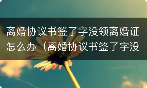 离婚协议书签了字没领离婚证怎么办（离婚协议书签了字没领离婚证怎么办理）