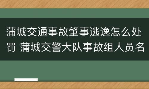 蒲城交通事故肇事逃逸怎么处罚 蒲城交警大队事故组人员名单