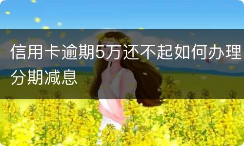 信用卡逾期5万还不起如何办理分期减息