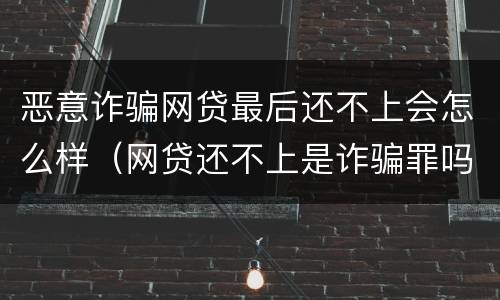 恶意诈骗网贷最后还不上会怎么样（网贷还不上是诈骗罪吗）