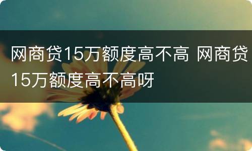 网商贷15万额度高不高 网商贷15万额度高不高呀