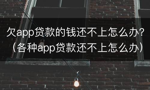 欠app贷款的钱还不上怎么办？（各种app贷款还不上怎么办）