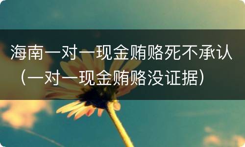 海南一对一现金贿赂死不承认（一对一现金贿赂没证据）