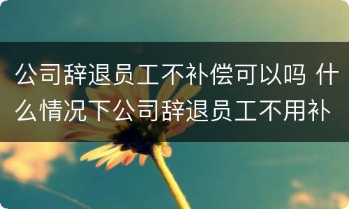 公司辞退员工不补偿可以吗 什么情况下公司辞退员工不用补偿