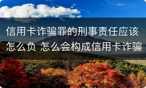 信用卡诈骗罪的刑事责任应该怎么负 怎么会构成信用卡诈骗罪