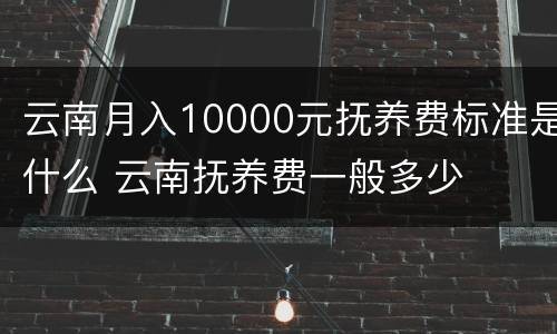 云南月入10000元抚养费标准是什么 云南抚养费一般多少