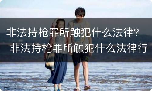 非法持枪罪所触犯什么法律？ 非法持枪罪所触犯什么法律行为