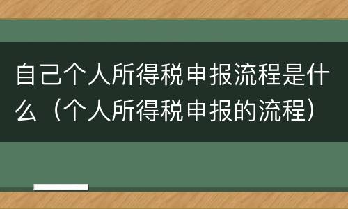 自己个人所得税申报流程是什么（个人所得税申报的流程）