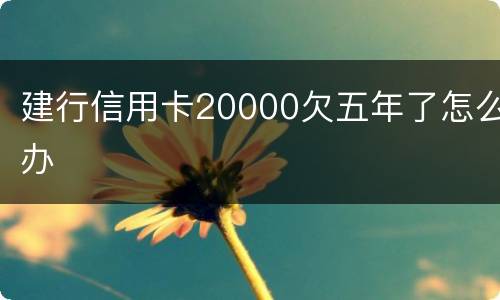 建行信用卡20000欠五年了怎么办